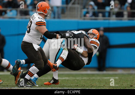 Charlotte, NC, USA. Dec 21, 2014. Caroline Panthère attaquer défensive court # 99 Kawann sacs Cleveland Browns quarterback Brian Hoyer n° 6 au stade Bank of America le 21 décembre 2014, à Charlotte, NC. Les Panthère défait les Browns 17-13. Margaret Bowles/CSM/Alamy Live News Banque D'Images