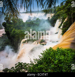 Chutes d'Iguaçu sont les cascades de la rivière Iguazu à la frontière de l'Argentine et le Brésil