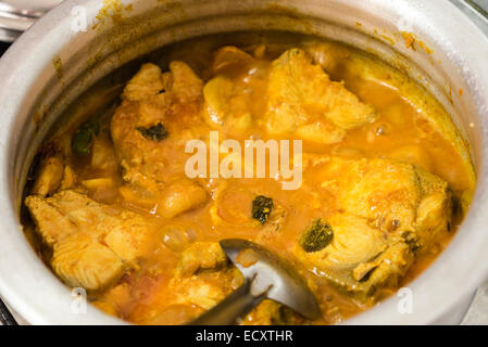 Kerala, Inde - Cochin. Cours de cuisine dans la ville de Cochin avec les membres de la famille, poisson au curry Keralan et d'autre. Banque D'Images