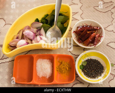 Kerala, Inde - Cochin. Cours de cuisine dans la ville de Cochin avec les membres de la famille, poisson au curry Keralan et d'autre. Banque D'Images