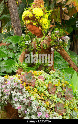 Topiary, San Diego Botanic Garden, Encinitas, en Californie Banque D'Images