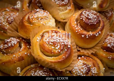 Un cinnamon roll (également à la cannelle, cannelle cannelle swirl et escargot) est un rouleau sucré servi souvent en Scandinavie Banque D'Images