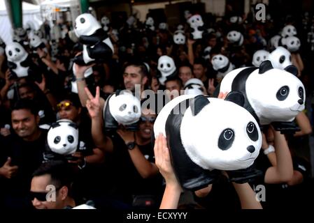 Kuala Lumpur, en Malaisie, 21 Dec, 2014. Les bénévoles poser pour les photographes avec la partie de l'article 1 600 pandas, au cours1600 Pandas World Tour en Malaisie le 21 décembre 2014 à Kuala Lumpur, Malaisie. 1600 pandas en papier créé par l'artiste français Paulo Grangeon sont exposés au Merdeka Square, les 1600 Pandas se rendra bientôt à plus de 15 sites importants en Malaisie. Credit : Asyraf Rasid/Pacific Press/Alamy Live News Banque D'Images