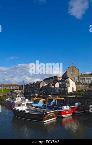 Bateaux de pêche au port, Largs, Northumberland, Angleterre, Royaume-Uni, Europe Banque D'Images