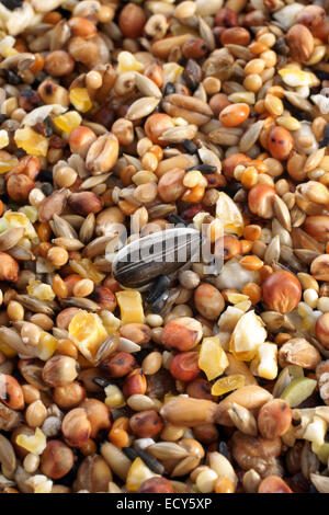 L'alimentation des oiseaux une variété de millet, graines de tournesol, maïs concassé et d'autres graines utilisées comme aliments pour oiseaux. Banque D'Images