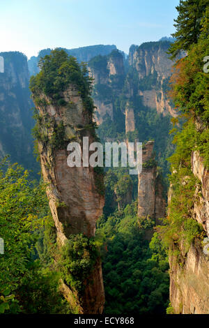 'Avatar' montagne avec des rochers de grès, de quartz vertical Parc national de Zhangjiajie, Province du Hunan, Chine Banque D'Images