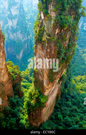 'Avatar' montagne avec des rochers de grès, de quartz vertical Parc national de Zhangjiajie, Province du Hunan, Chine Banque D'Images