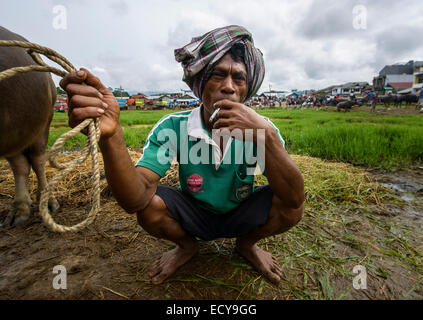 L'homme au Toraja marché de bétail, Sulawesi, Indonésie Banque D'Images