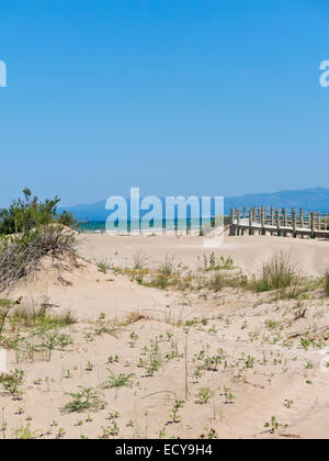 Le Delta de l'Ebre National Park est situé à l'embouchure de l'Èbre dans la province de Tarragone, en Catalogne, Espagne. Banque D'Images