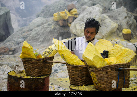 Les mineurs de soufre de Kawah Ijen, Java, Indonésie Banque D'Images