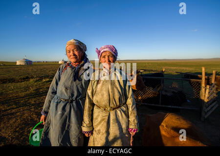 Femmes nomades de Mongolie la traite des vaches sur la steppe, Mongolie Banque D'Images