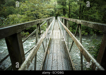 Pont de bois sur la rivière en forêt Banque D'Images