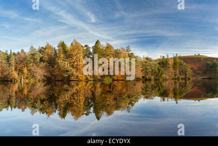 Réflexions comme miroir Tarn Hows, National Trust, Lake District Banque D'Images