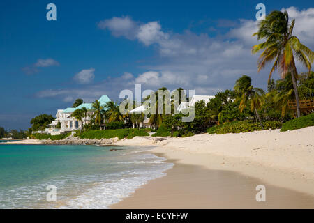 Des palmiers et des maisons de luxe le long de Seven-Mile Beach, Grand Cayman, îles Caïmans, Antilles Banque D'Images