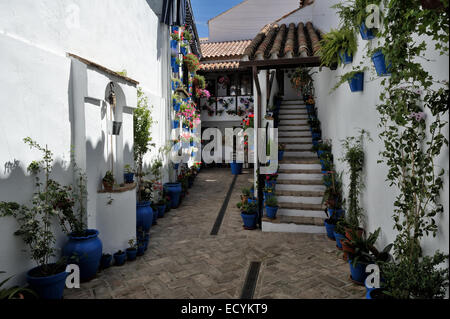 Cour intérieure pendant le Festival des patios (el Festival de Los Patios Cordobeses), Cordoue, Espagne Banque D'Images