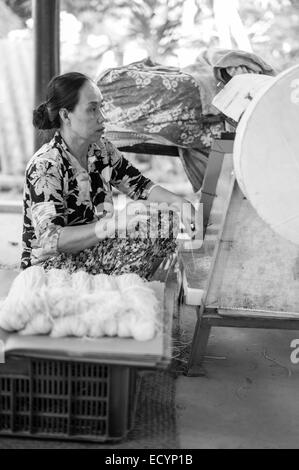 Vietnamienne en tenant les nouilles nouilles coupées à partir d'une machine de découpe et d'emballage en vente dans la petite maison du papier de riz et de nouilles factory dans le Delta du Mékong du Vietnam. Banque D'Images