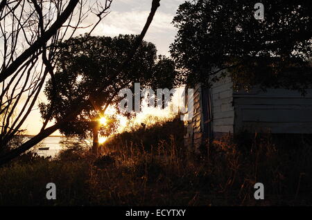 Cabane de pêcheur en bois dans la région de Cacela Velha, au coucher du soleil Banque D'Images