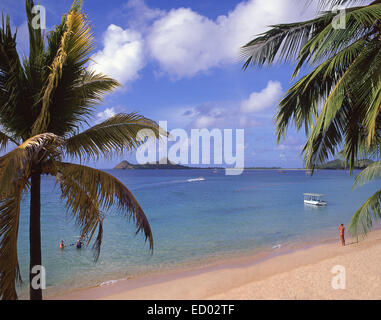 La plage de Reduit, Gros Islet, Saint Lucia, Lesser Antilles, Caribbean Banque D'Images