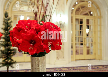 Les fleurs rouges dans le hall de l'hôtel Fairmont Copley Plaza Hotel, Boston, Massachusetts Banque D'Images