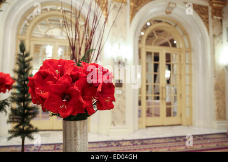 Les fleurs rouges dans le hall de l'hôtel Fairmont Copley Plaza Hotel, Boston, Massachusetts Banque D'Images