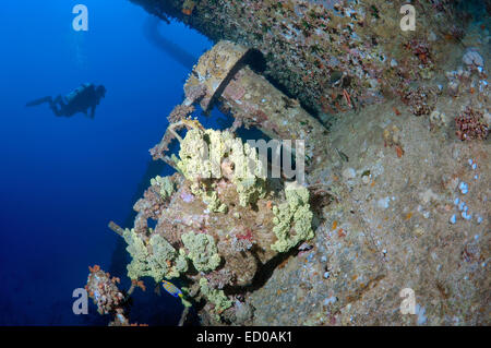 Diver à wreckship à Gianis D. Mer Rouge, Sharm El Sheikh, Egypte Banque D'Images