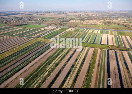 La France, Pas de Calais, Salperwick, marais audomarois (vue aérienne) Banque D'Images
