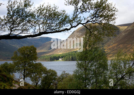 Un avis de Glas allt Shiel sur les rives du Loch Muick dans le Parc National de Cairngorms. Banque D'Images