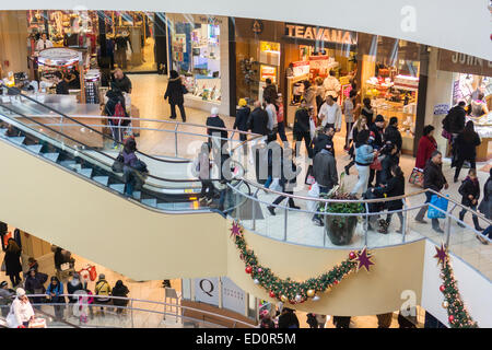 La foule des acheteurs de dernière minute pack le Queens Center Mall dans le borough du Queens à New York, le Super Samedi, 20 décembre 2014 à la recherche de bonnes affaires pour leurs cadeaux de Noël. Super Samedi, le samedi avant Noël était bondé avec les consommateurs et devrait générer plus de ventes que le Black Friday. (© Richard B. Levine) Banque D'Images