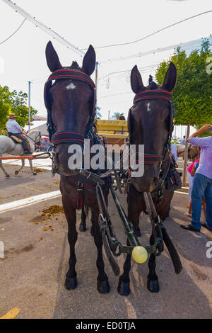ANDUJAR, ESPAGNE - septembre 6 : Les participants à la foire du cheval à pied sur leurs chars et costumes typiques de style andalou Banque D'Images