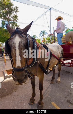 ANDUJAR, ESPAGNE - septembre 6 : Les participants à la foire du cheval à pied sur leurs chars et costumes typiques de style andalou Banque D'Images