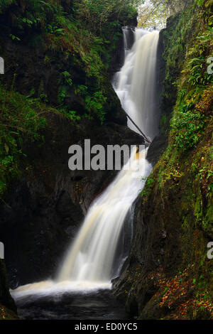 Ess-na-larach chutes Cascade d'automne automne rivière inver glenariff Forest Park dans le comté d'Antrim en Irlande du Nord RM glens antrim Banque D'Images