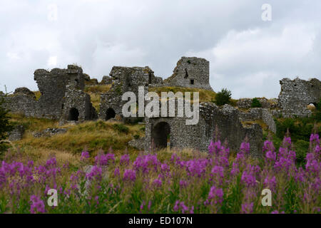 Rocher de dunamase château fort médiéval forteresse laois leinster dun monument de la société RM L'Irlande Banque D'Images