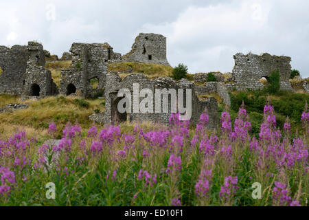 Rocher de dunamase château fort médiéval forteresse laois leinster dun monument de la société RM L'Irlande Banque D'Images