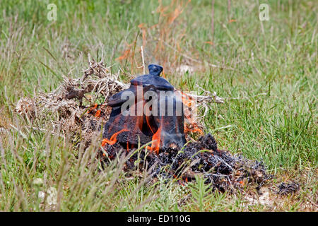 Une eau bouillante noircie électrique dans les flammes d'un feu de camp pour faire du thé Banque D'Images