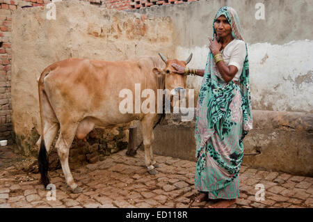 1 rural indien vieille dame et de la vache Banque D'Images