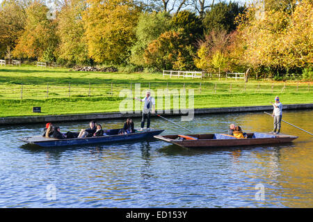 À l'automne en barque sur la rivière Cam Cambridge Cambridgeshire, Angleterre Royaume-Uni UK Banque D'Images