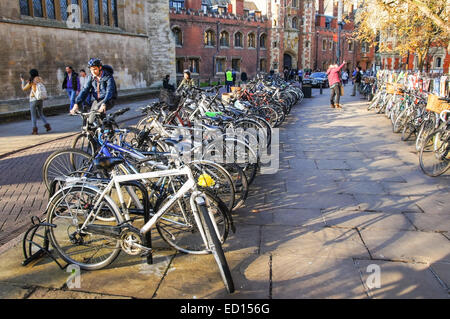 Randonnée à vélo à Cambridge Cambridgeshire Angleterre Royaume-Uni UK Banque D'Images