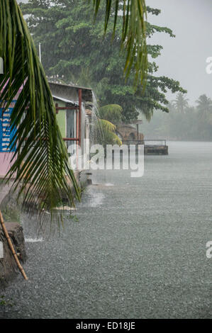 Kerala, Inde - pluie de mousson sur la rivière Pamba. Banque D'Images