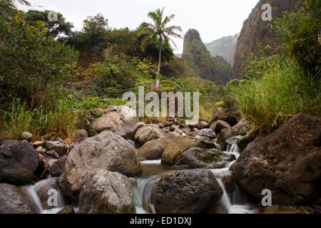 À l'aiguille de l'IZO randonneur et l'IAO Valley State Park, Maui, Hawaii. (Modèle 1992) Banque D'Images