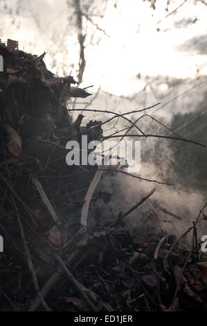 Feu de fumée se débarrasser des déchets de jardin feuilles boutures brindilles refuser provoquant des perturbations et à la pollution de l'air aux voisins Banque D'Images