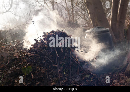 Feu de fumée se débarrasser des déchets de jardin feuilles boutures brindilles refuser provoquant des perturbations et à la pollution de l'air aux voisins Banque D'Images