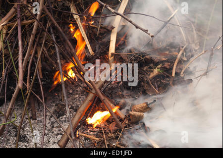 Feu de fumée se débarrasser des déchets de jardin feuilles boutures brindilles refuser provoquant des perturbations et à la pollution de l'air aux voisins Banque D'Images