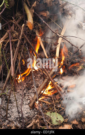 Feu de fumée se débarrasser des déchets de jardin feuilles boutures brindilles refuser provoquant des perturbations et à la pollution de l'air aux voisins Banque D'Images