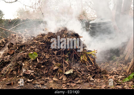 Feu de fumée se débarrasser des déchets de jardin feuilles boutures brindilles refuser provoquant des perturbations et à la pollution de l'air aux voisins Banque D'Images