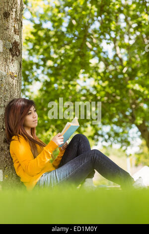 Female college reading book against tree trunk in park Banque D'Images