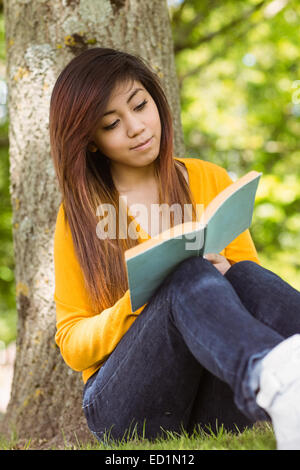 Female student reading book against tree trunk in park Banque D'Images