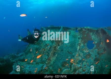 Freediver dives sur l'épave du SS Thistlegorm (British Armed Merchant Navy Ship), Red Sea, Egypt Banque D'Images