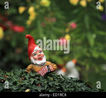 Petit nain de jardin typique ou gnome et drapeau américain sur un buisson Banque D'Images