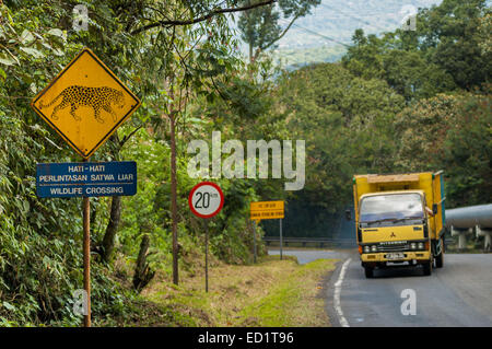 Signalisation de passage à la faune avec dessin de léopard Javan (Panthera pardus melas) à la zone géothermique de Chevron sur le mont Salak, Sukabumi, Java Ouest. Banque D'Images