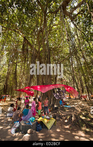 L'Ile Maurice, Albion,Ganga Snan ('Asnan) hindou, festival, familles hindoues picknicking à l'ombre de l'arbre de banian Banque D'Images